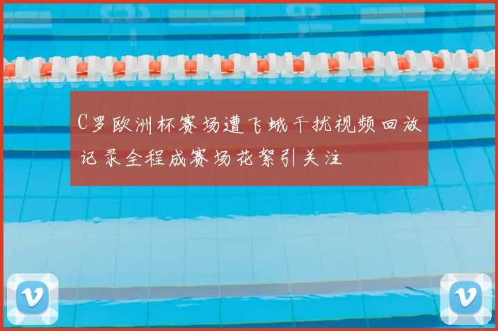 C罗欧洲杯赛场遭飞蛾干扰视频回放记录全程成赛场花絮引关注