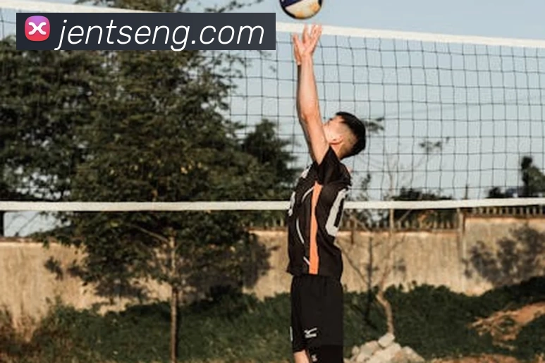 米兰app体育登录官网平台生态图