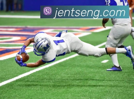 米兰app体育登录官网APP 封面图